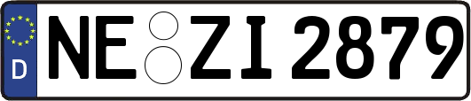 NE-ZI2879