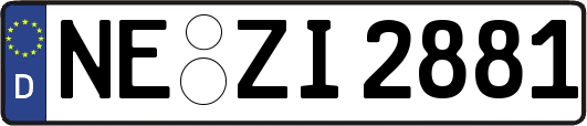 NE-ZI2881