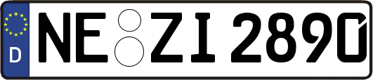 NE-ZI2890