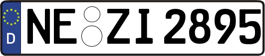 NE-ZI2895