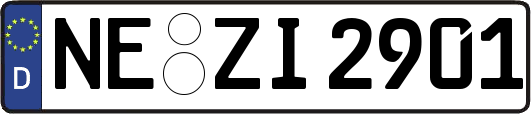 NE-ZI2901
