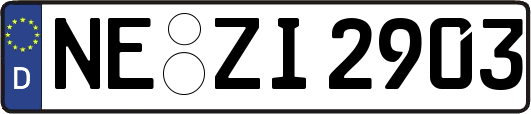 NE-ZI2903