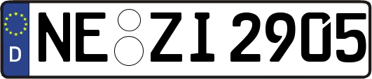 NE-ZI2905