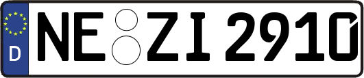 NE-ZI2910