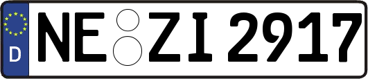 NE-ZI2917