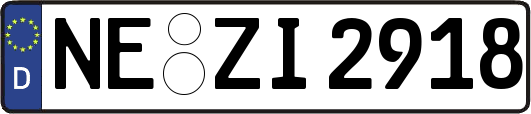 NE-ZI2918