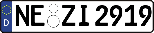 NE-ZI2919