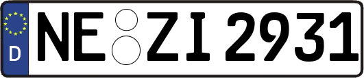 NE-ZI2931