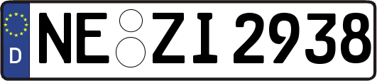 NE-ZI2938