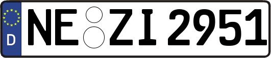 NE-ZI2951