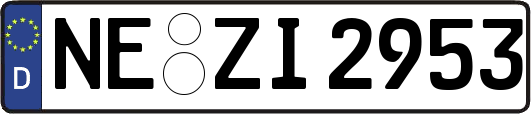 NE-ZI2953