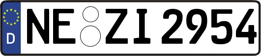 NE-ZI2954