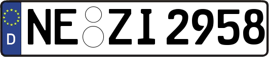 NE-ZI2958