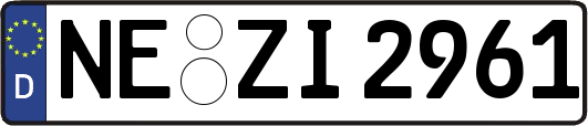 NE-ZI2961