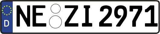 NE-ZI2971