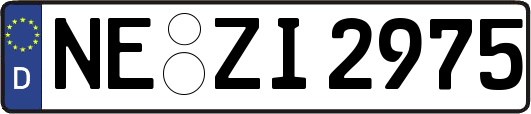 NE-ZI2975