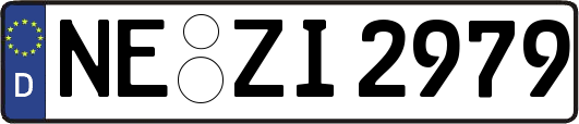 NE-ZI2979