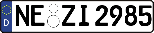 NE-ZI2985