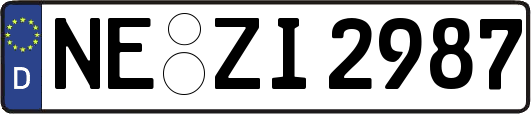 NE-ZI2987