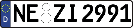NE-ZI2991