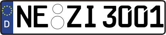 NE-ZI3001