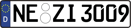 NE-ZI3009