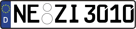 NE-ZI3010