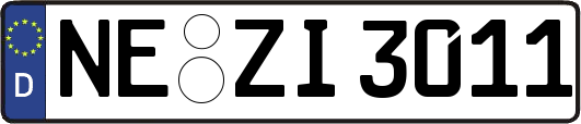 NE-ZI3011