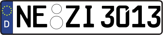 NE-ZI3013