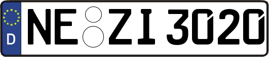 NE-ZI3020