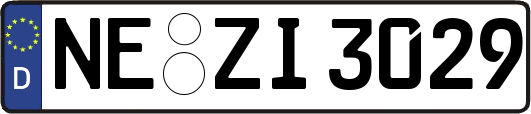 NE-ZI3029