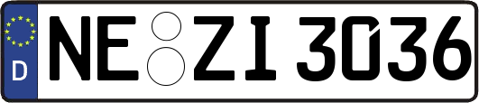 NE-ZI3036