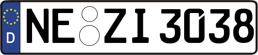 NE-ZI3038