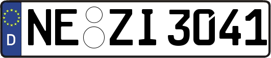 NE-ZI3041