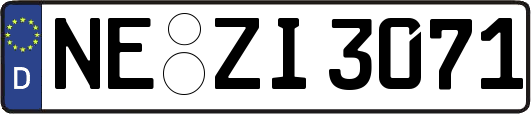 NE-ZI3071
