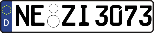 NE-ZI3073