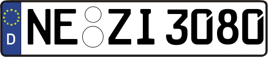 NE-ZI3080