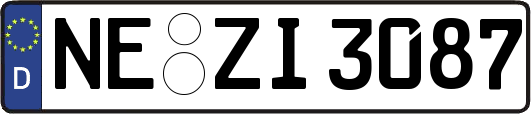 NE-ZI3087