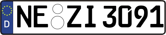 NE-ZI3091