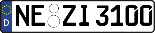 NE-ZI3100