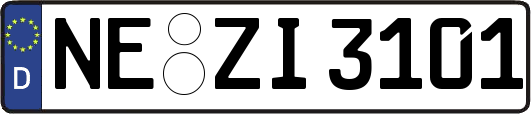 NE-ZI3101