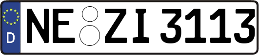 NE-ZI3113