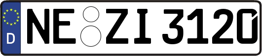 NE-ZI3120