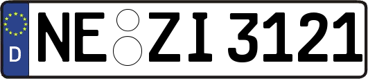NE-ZI3121