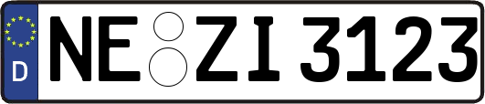 NE-ZI3123