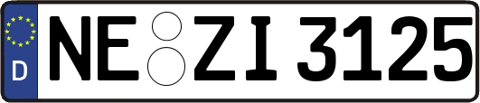 NE-ZI3125