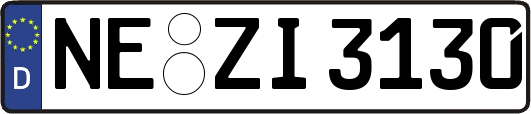 NE-ZI3130