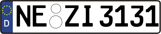 NE-ZI3131