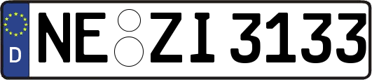 NE-ZI3133