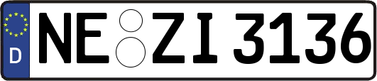 NE-ZI3136